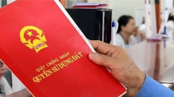 Hướng dẫn cách đòi lại mảnh đất đã bị người thân lén lút làm sổ đỏ? | Sống và làm việc theo pháp luật | 24/11/2025